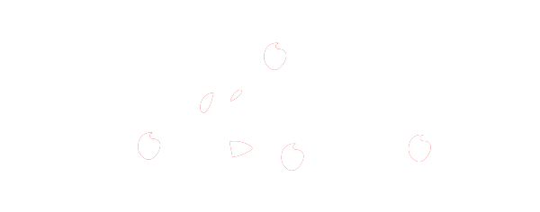 Historia de un compromiso